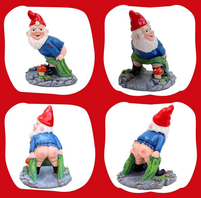 Rude Flashing Bum Garden Gnome