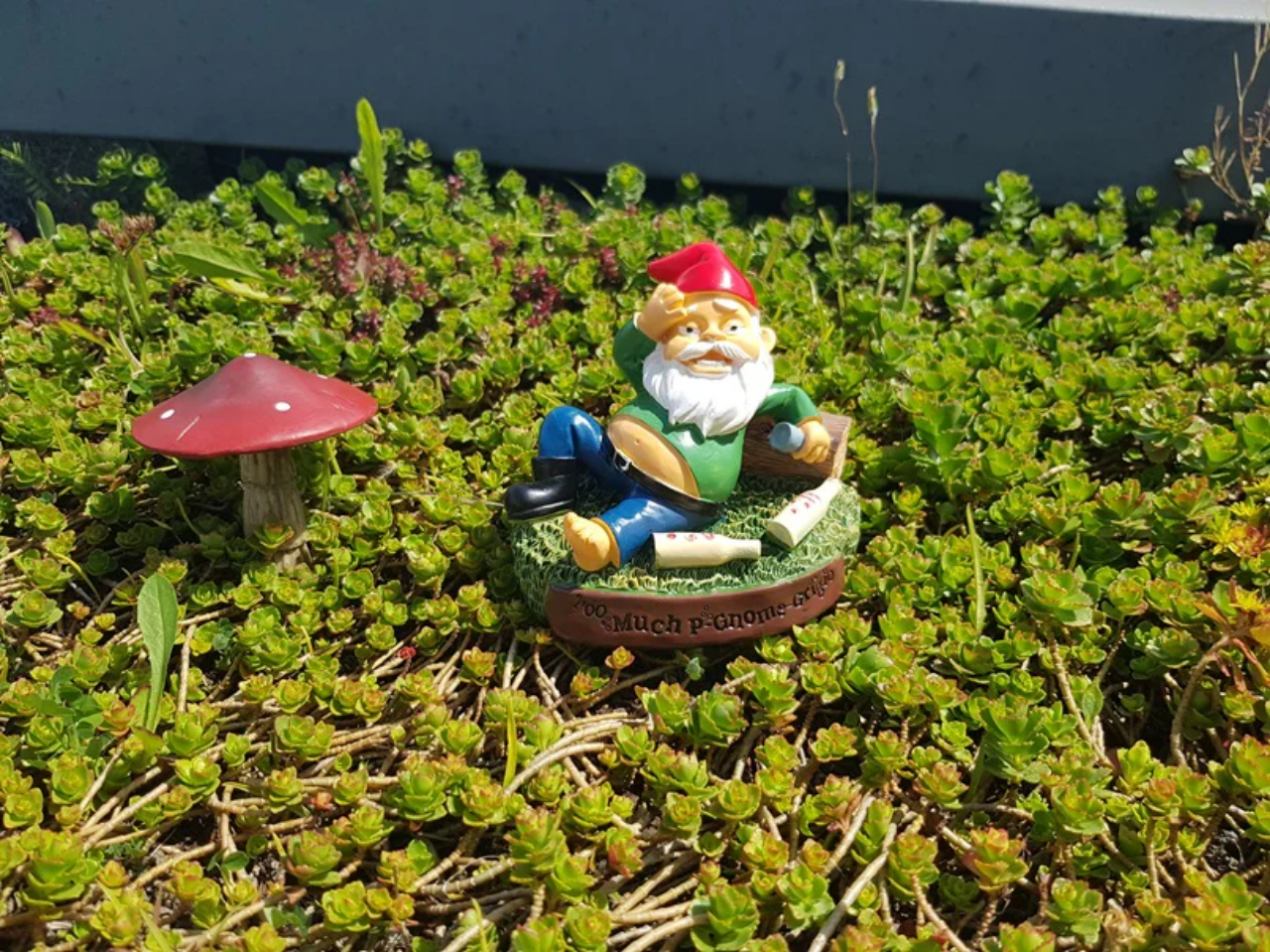 Hungover Garden Gnome